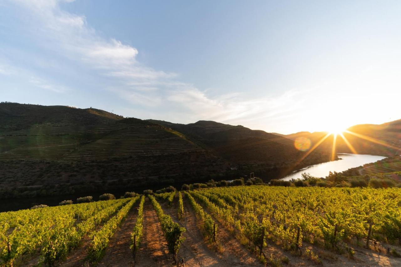 Quinta De S. Jose - Turismo Rural Ervedosa do Douro 외부 사진