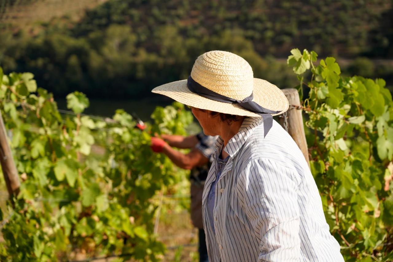 Quinta De S. Jose - Turismo Rural Ervedosa do Douro 외부 사진