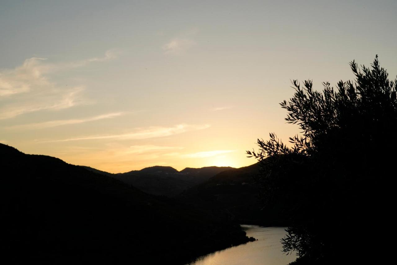 Quinta De S. Jose - Turismo Rural Ervedosa do Douro 외부 사진
